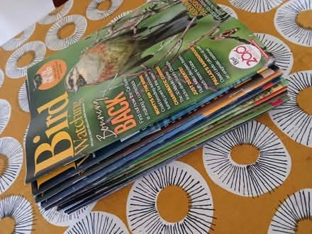 Photo of free Bird Magazines (Abingdon, OX14.) #3