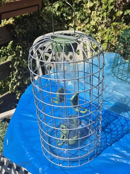 Photo of free Bird feeders (Wokingham south RG40) #3