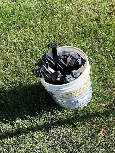 Photo of free Tent stakes (Maynard) #1