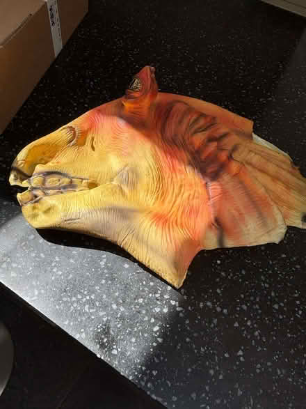 Photo of free Jar Jar Binks full head mask (Walton-on-Thames KT12) #4