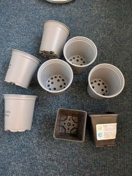 Photo of free Plant Pots (Sharrow S2) #1