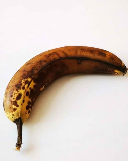 Photo of free Food- 5+ overripe brown banana (Peekskill, NY) #1