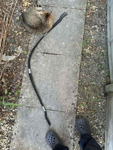 Photo of free 6x Tunnel hoops (Chippenham SN14) #1