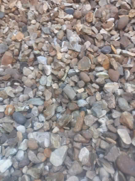 Photo of free Garden gravel stones. Lots more than in the pictures (West End LA3) #1