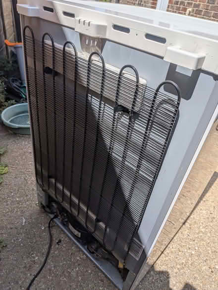 Photo of free Freezer (Chichester PO19) #3