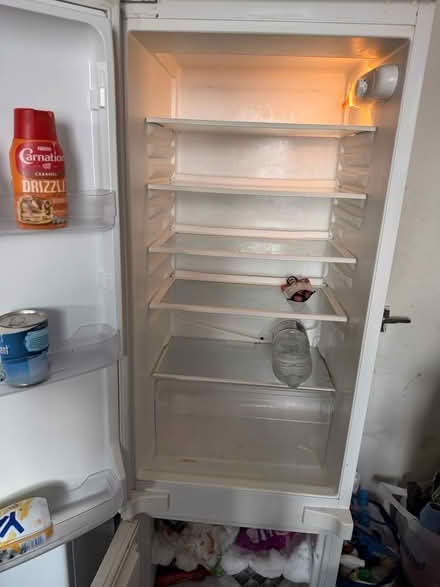 Photo of free White Fridge freezer (Rotherham S65) #1