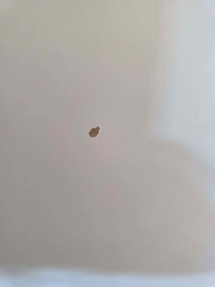 Photo of free Ikea trestle table (Banner Cross S11) #4