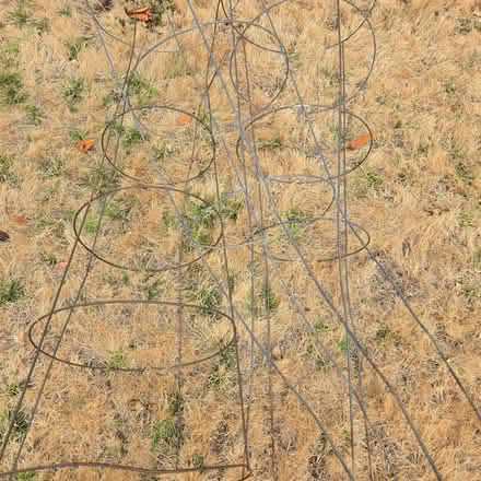 Photo of free Tomato cages (Mountain View) #3