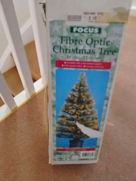 Photo of free Fibre optic Christmas tree (Bexhill TN39) #1