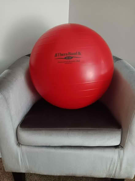 Photo of free Thera-Band Exercise Ball (Guelph - Imperial and Willow) #1
