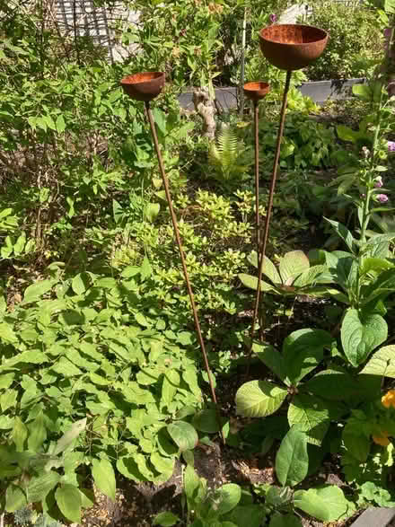 Photo of free Garden rain catchers. (Law DD3) #1