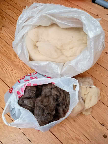 Photo of free Wool, carded, ready for spinning or felting (Nailsea BS21) #1