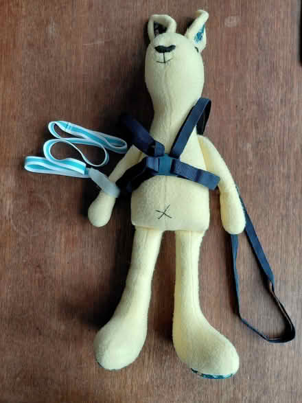Photo of free Toddler reins (Twyford RG10) #1