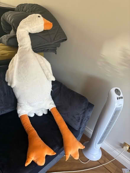 Photo of free [New] Very large stuffed cuddly toy goose (Southport PR9) #1