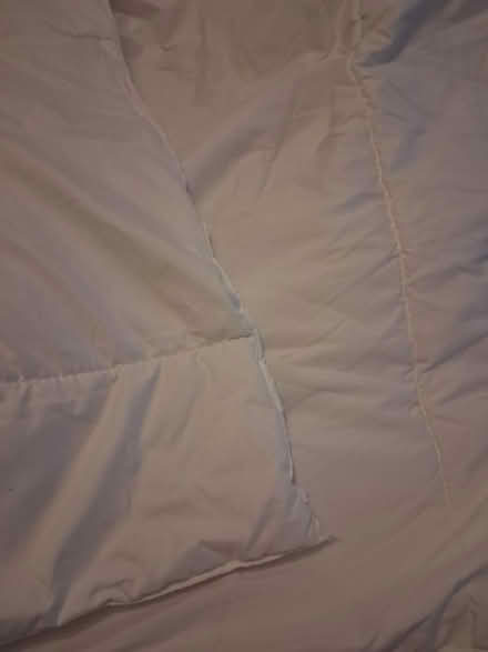 Photo of free Single duvets (Freshbrook SN5) #1