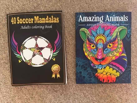Photo of free Mandalas colouring books (Teddington TW11) #1