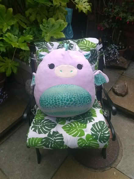 Photo of free kid's snuggle cushion (Poulton CH44) #1