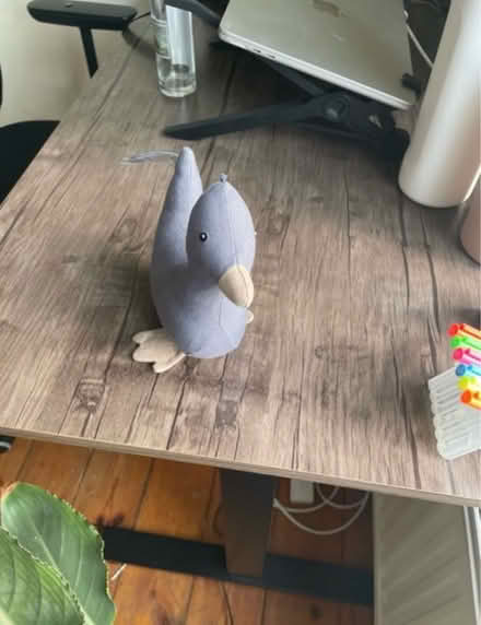 Photo of free Duck Toy (N1 4DJ) #1