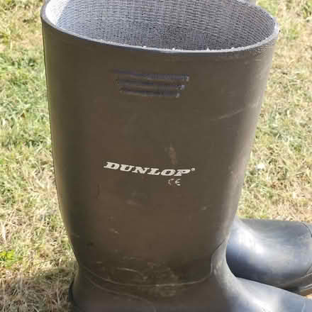 Photo of free Wellington boots, size 7, 41. (Grange Farm IP5) #2