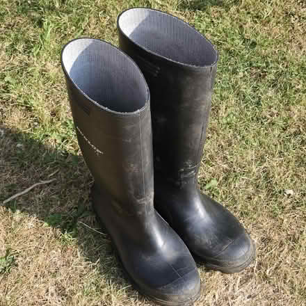 Photo of free Wellington boots, size 7, 41. (Grange Farm IP5) #1