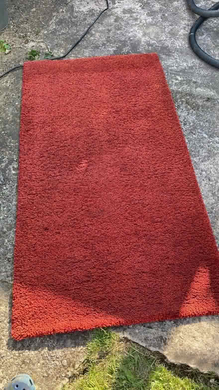 Photo of free Rug / thick (M16 9 WT) #1