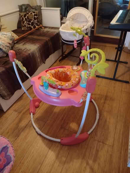 Photo of free Baby Bouncer (Silverhill Park TN34) #2