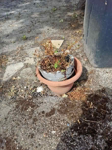 Photo of free Plastic pots (Borough Green TN15) #2