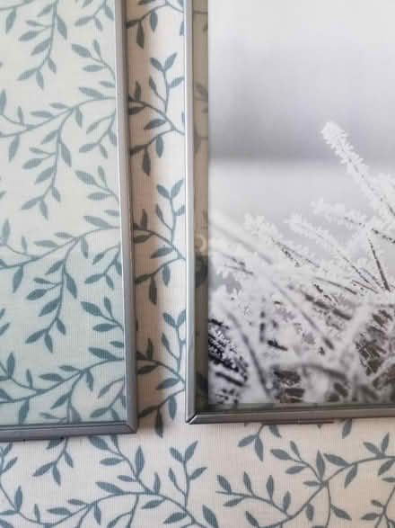 Photo of free 10" Square frame x2 (Catford SE6) #2