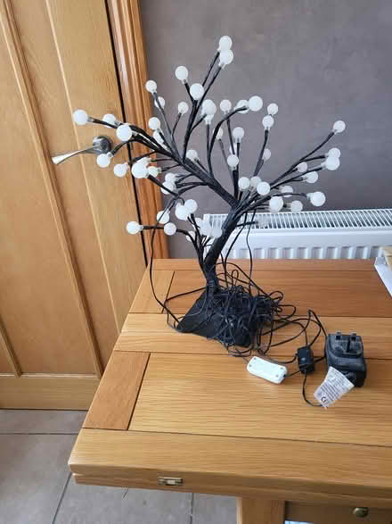 Photo of free light up tree (Shenley Brook End MK5) #1