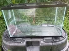 Photo of free 29 Gallon Fish Tank (Near Gary Ave & Schick Rd) #1