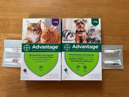Photo of free Advantage flea treatment (Kings Worthy) #1