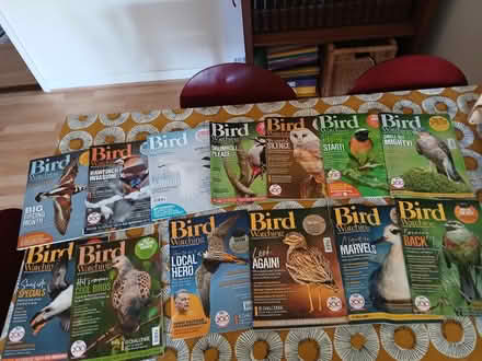 Photo of free Bird Magazines (Abingdon, OX14.) #2