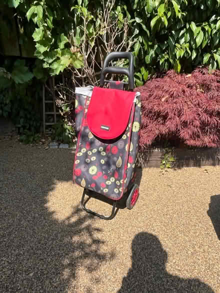 Photo of free Shopping trolley (Dun Laoghaire) #1