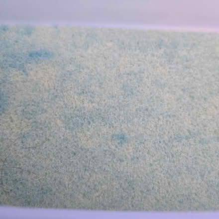 Photo of free Comfort Foam Bed Topper (Mountain View) #1
