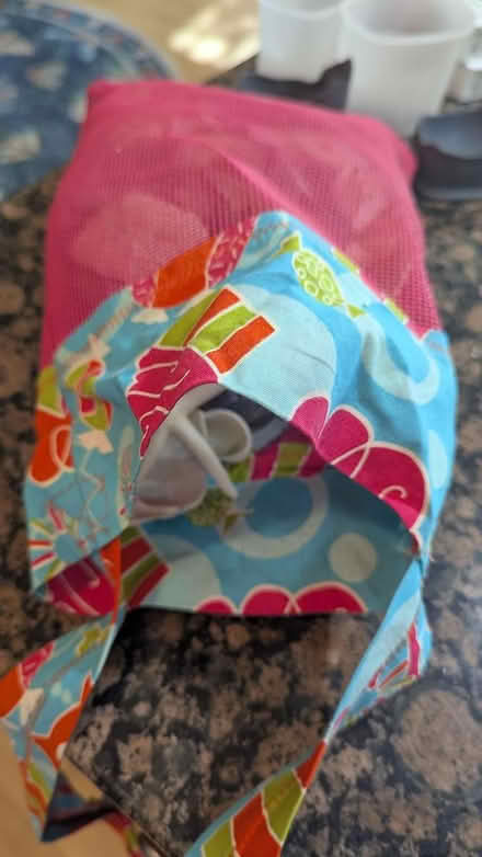 Photo of free Shell collecting bag w/shells (North Cambridge) #2