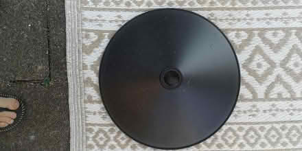 Photo of free Black lightshade (Marsh LA1) #1