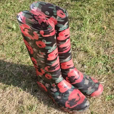 Photo of free Ladies wellington boots, size 4, 37 (Grange Farm IP5) #2