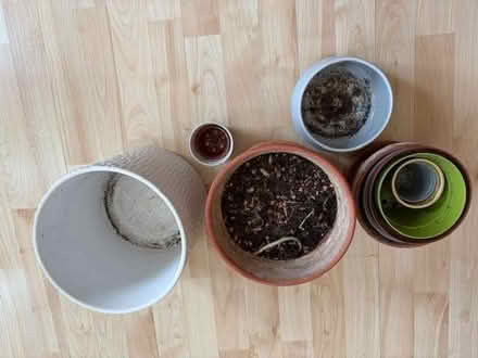 Photo of free Plant pots - different sizes (Chelsea SW10) #4