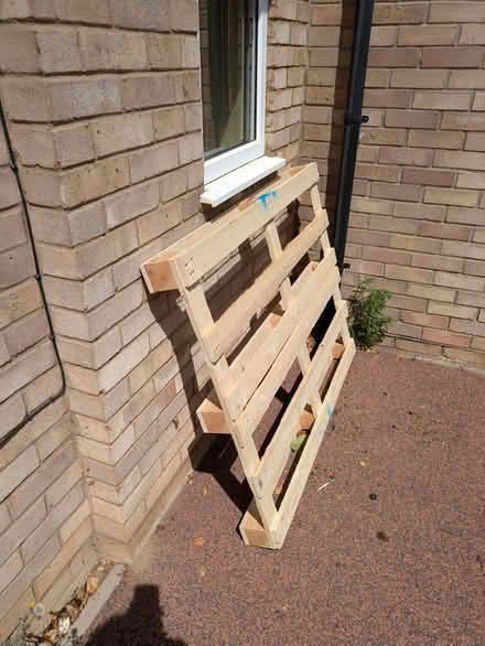 Photo of free Pallet (Brundall NR13) #2