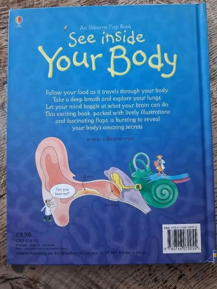 Photo of free Osborne children's books (Wimborne,Colehill) #4