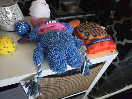 Photo of free Dogs accessories (Lime Gate OL8) #3