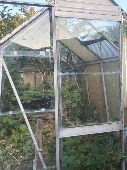 Photo of free Green House (Eastfield PE1) #2