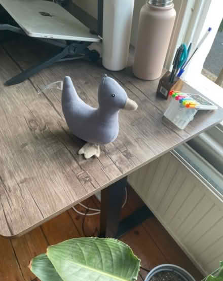 Photo of free Duck Toy (N1 4DJ) #2