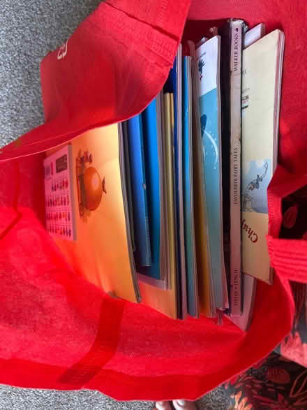 Photo of free 5 bags of children's books (Thingwall CH61) #2