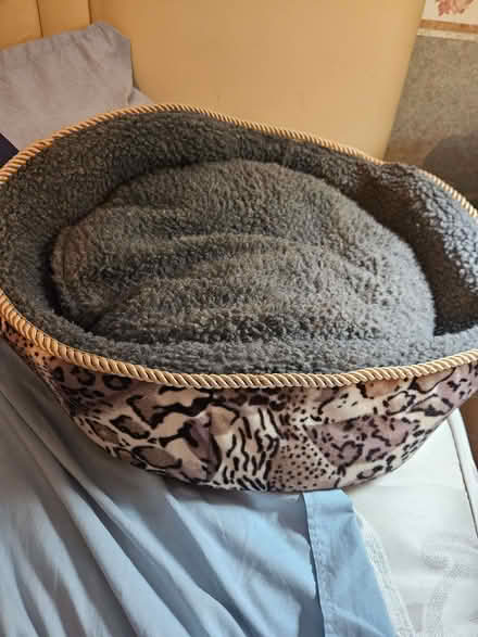 Photo of free Pet bed (Loughborough LE11) #1