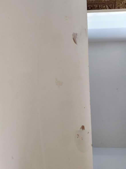 Photo of free Toy box/ storage box (Stanley Common DE7) #4