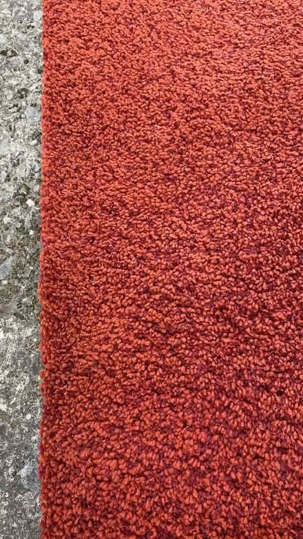 Photo of free Rug / thick (M16 9 WT) #3