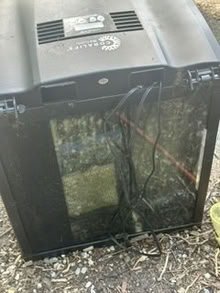 Photo of free Aquarium (dog not included!) (farmington hills) #3