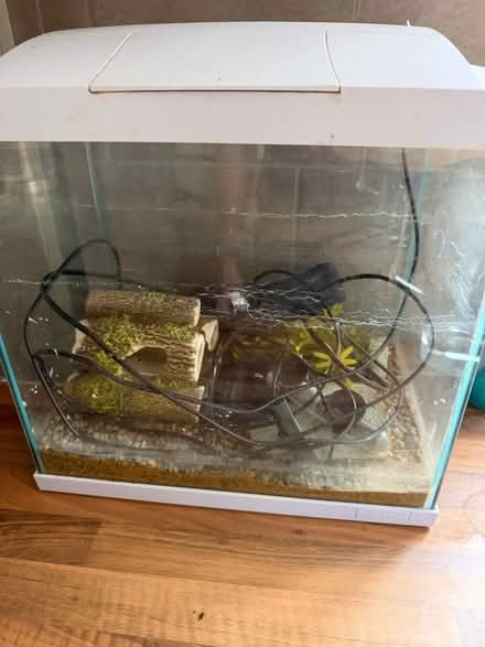 Photo of free Fish Tank (Charing TN27) #1