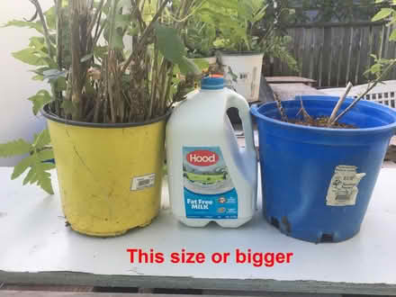 Photo of Give your LARGE pots a 2nd chance (Near Reading train station) #1